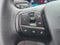 2025 Ford Transit Cargo Van T250 RWD LOW RF