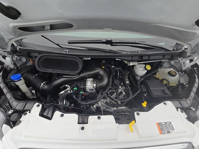 2025 Ford Transit Cargo Van T250 RWD LOW RF
