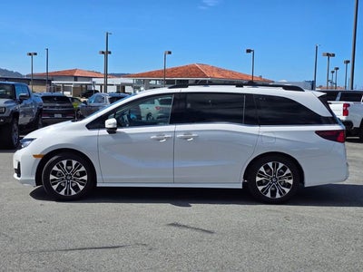2026 Honda Odyssey Elite