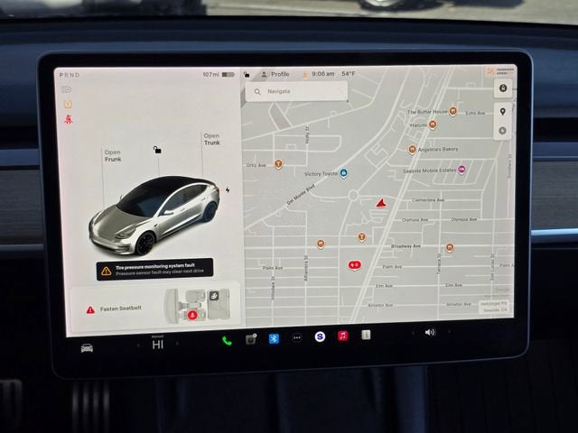 2021 Tesla Model 3 Performance